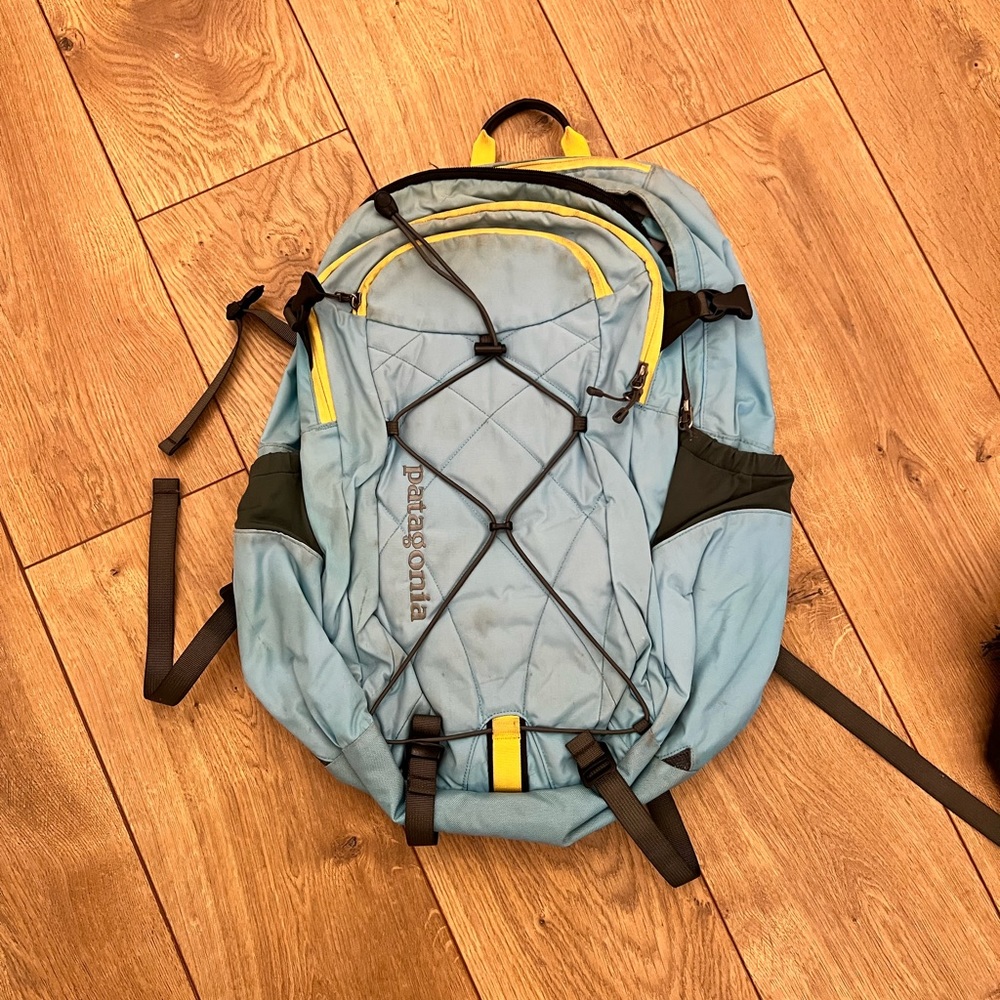 Patagonia Back Pack